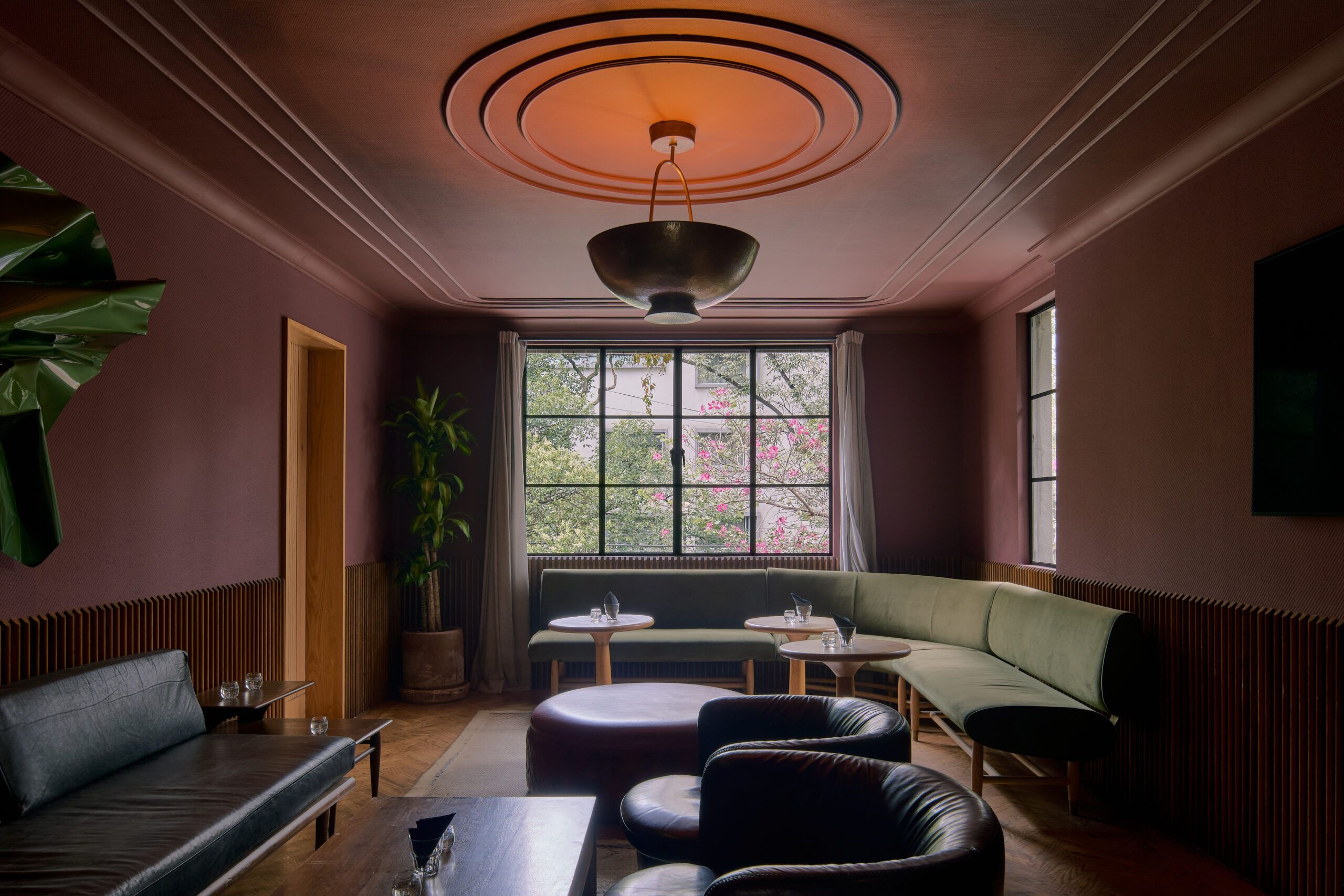 Cuarto Morado Lampuga